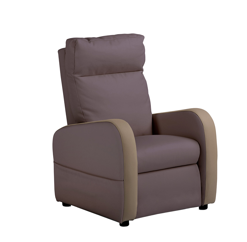 Fauteuil relaxation 2 moteurs cuir bicolore FIDJI