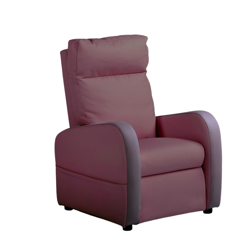 Fauteuil releveur 1 moteur cuir bicolore FIDJI