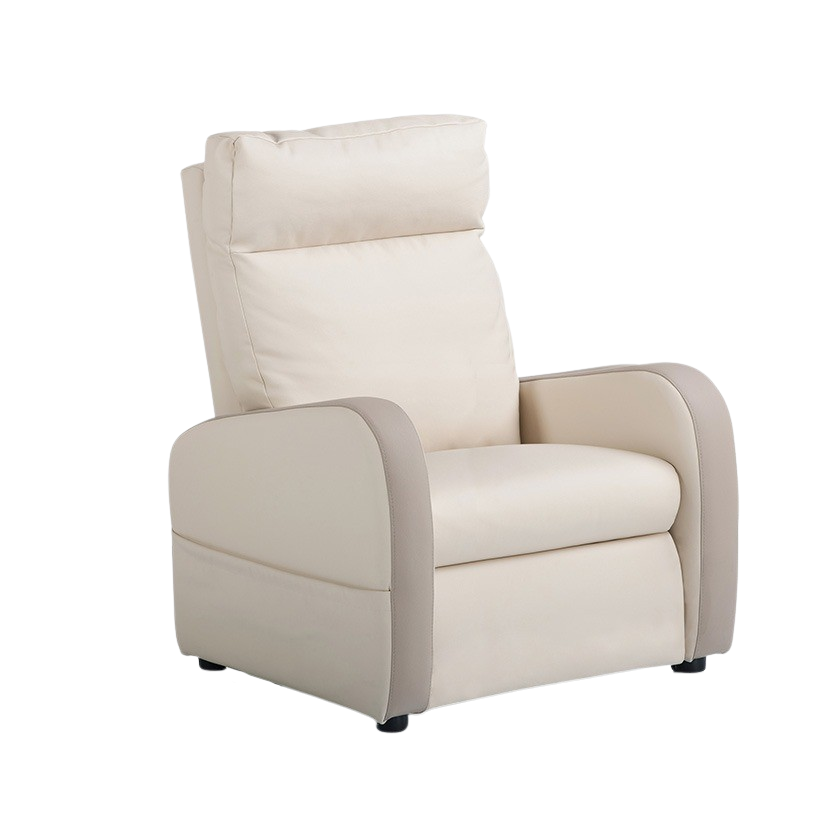 Fauteuil releveur 2 moteurs cuir bicolore FIDJI